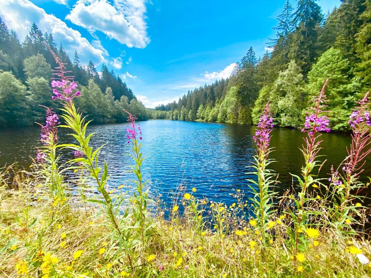 B&B Am Oker, Altenau, Harz 알테나우 외부 사진