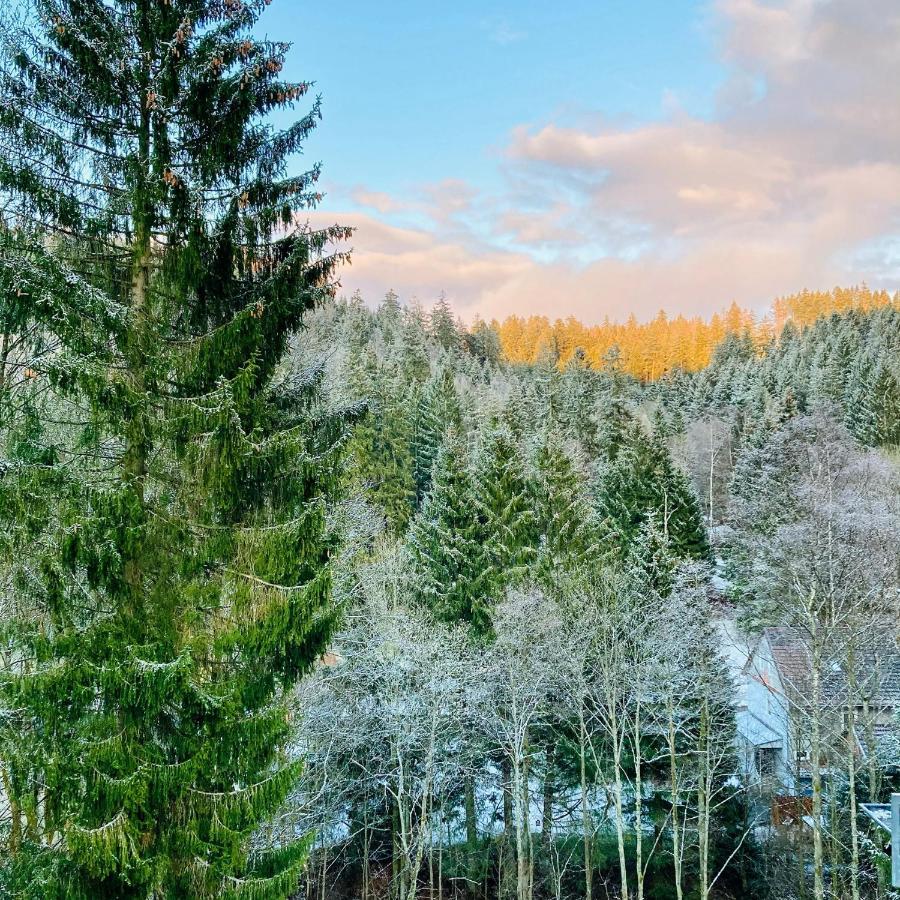 B&B Am Oker, Altenau, Harz 알테나우 외부 사진